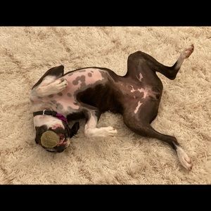 Meet your Posher, Kaitlin